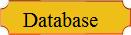 Database: A listing of surnames in our Index System